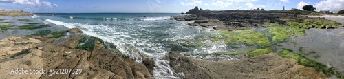 sur le chemin côtier à Lesconil en Finistère Cornouaille Bretagne France 