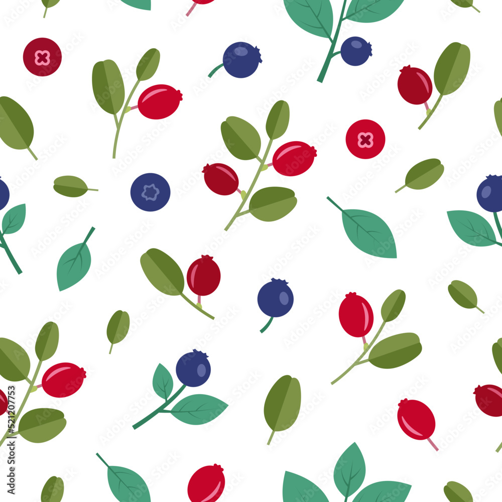 Pattern Blueberries and cranberries on a white background. Berries, branches, leaves. Pattern Blueberries and cranberries on a white background. Berries, branches, leaves.