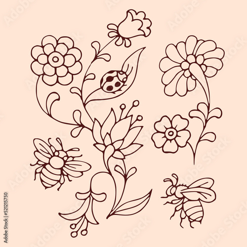 hand drawn flowers set