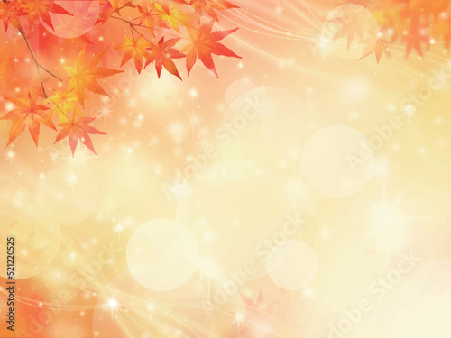 キラキラ輝く美しい紅葉の葉のオシャレなベクターの光の差し込むピンボケの背景素材フレーム