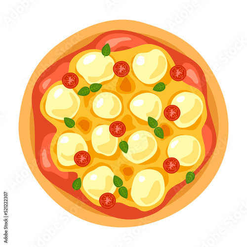 Illustration of buffalo pizza top view. Vector flat modern illustration
