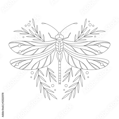 Dragonfly on white background. Floral decorative design elements. Vector illustration. 