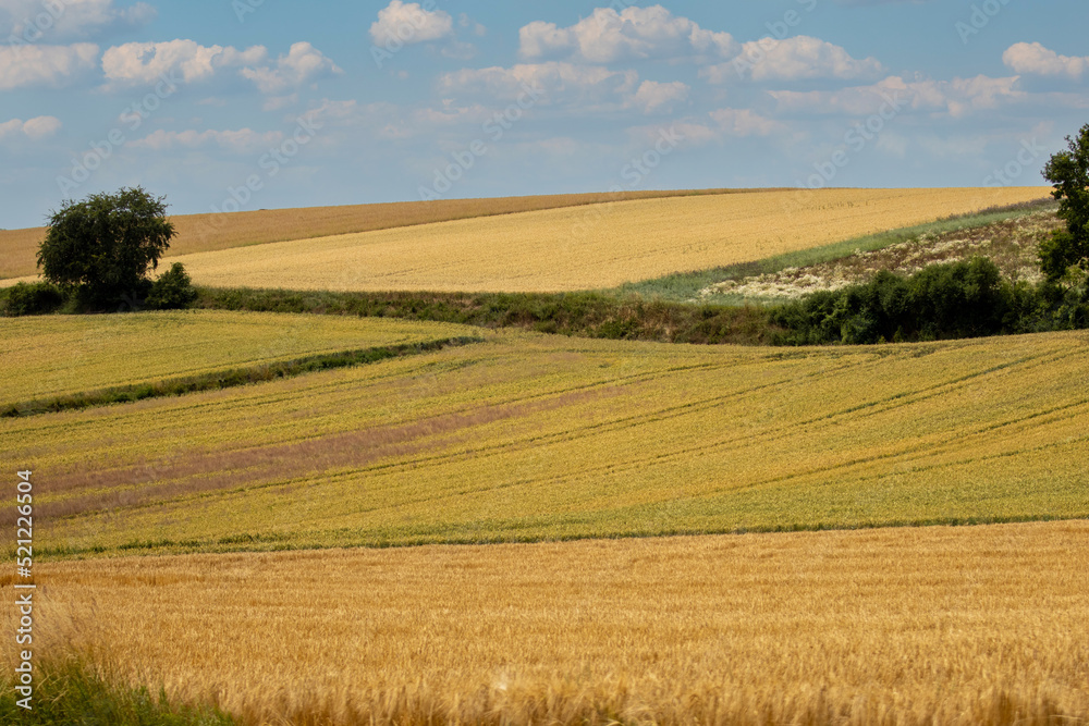 Felder mit Himmel, Bauernhof, Bauer, Traktor, Ackerbau , Erdboden, Feld mit Getreide im Sommer, Weizenfeld im Sommer, Feld vor der Ernte 