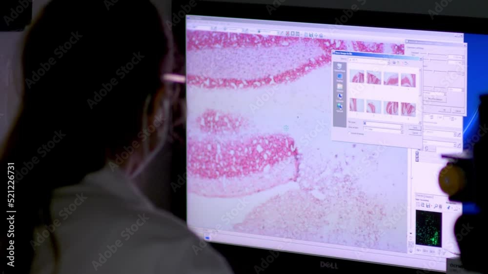 4k real time - hospital staff carrying out medical research in the laboratory with pipettes, test tubes, samples, etc...