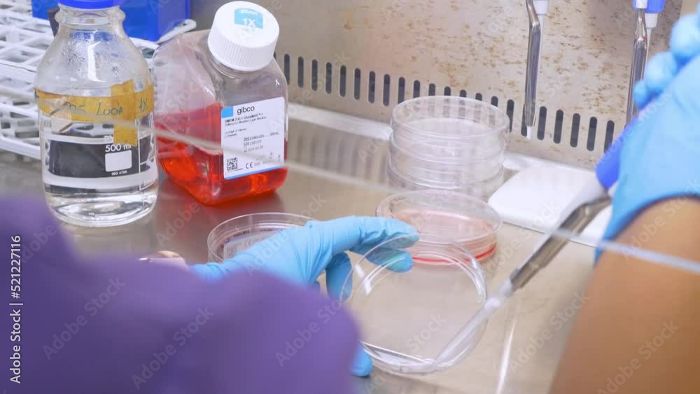 4k real time - hospital staff carrying out medical research in the laboratory with pipettes, test tubes, samples, etc...