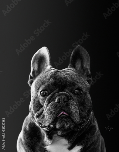 Plakat TAJO