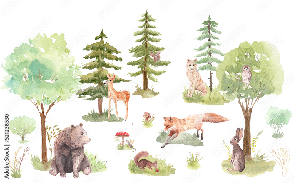 Watercolor set Forest Animals and Trees, watercolor woodland, bear ...