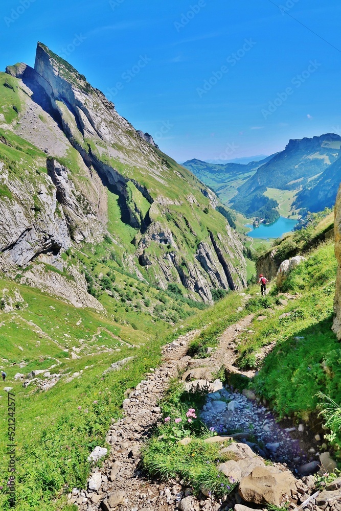 Naklejka premium Bergwanderweg, Alpstein, Appenzellerland