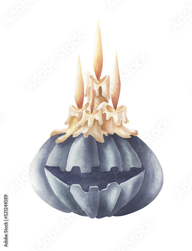 Watercolor pumpkin with burning candle on a white background. photo