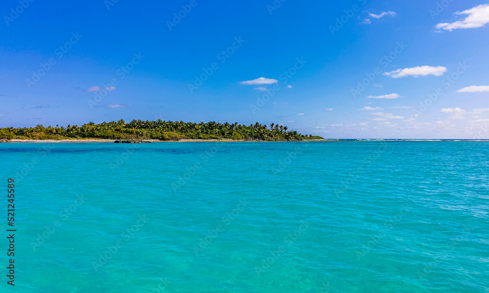 Beautiful tropical natural beach and forest panorama Contoy island Mexico.