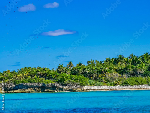 Beautiful tropical natural beach and forest panorama Contoy island Mexico. © arkadijschell