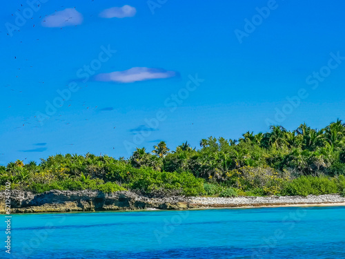 Fototapeta Naklejka Na Ścianę i Meble -  Beautiful tropical natural beach and forest panorama Contoy island Mexico.