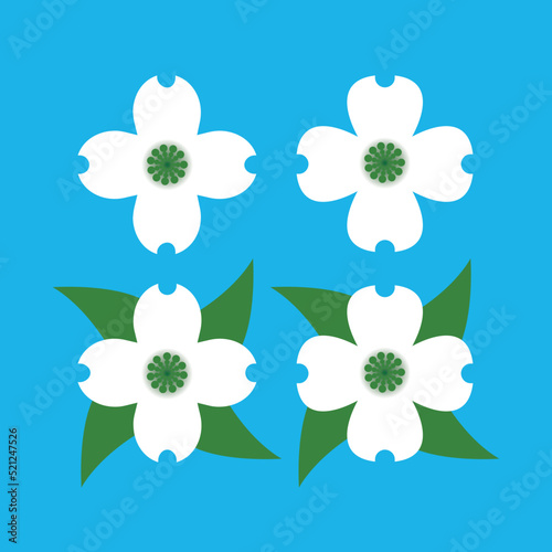 dogwood flower icons design vector flat isolated illustration