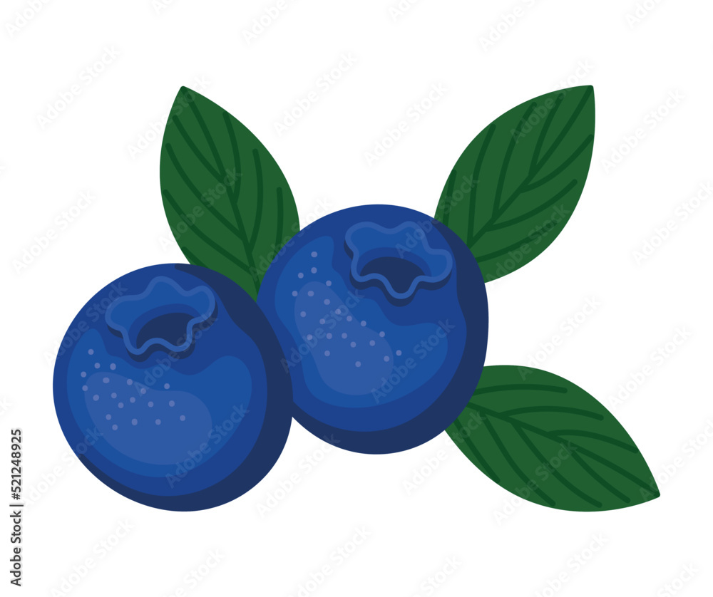 blueberry fruit design