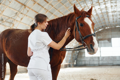 Using stethoscope. Female doctor in white coat is with horse on a stable