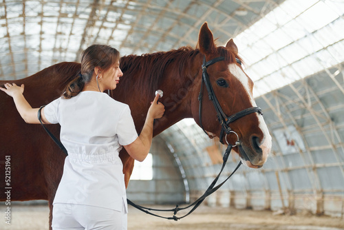 Listening by using stethoscope. Female doctor in white coat is with horse on a stable