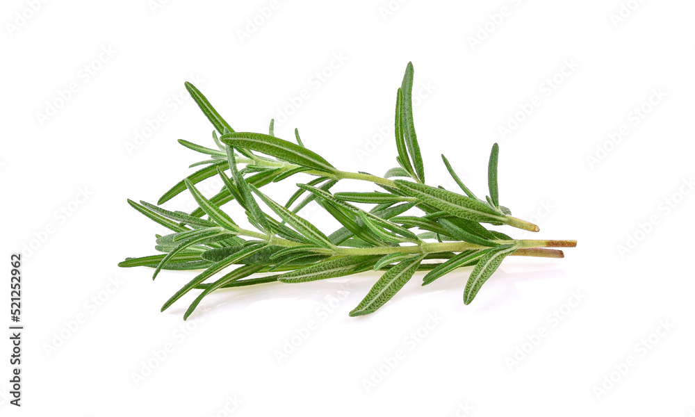 Fototapeta premium Rosemary isolated on white background
