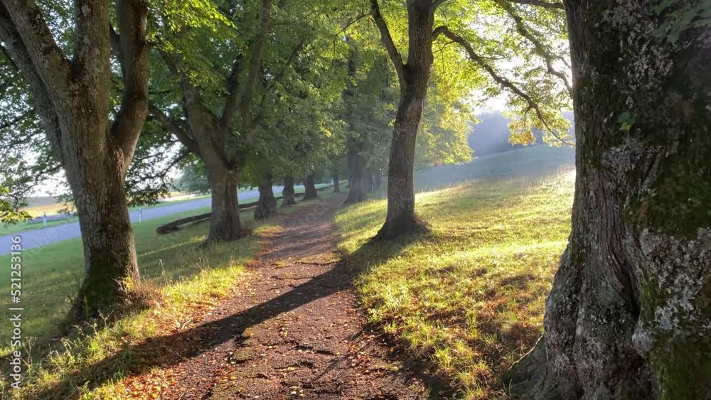 Weg zur Burg Teck an einem sonnigen Morgen, schwäbische Alb