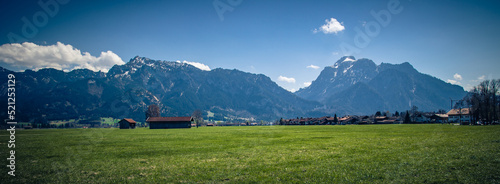 Alpenwiese 2