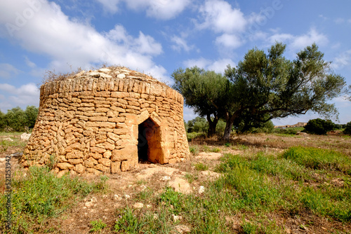 finca Es Bosch Vell, Santa Margalida, Mallorca, balearic islands, spain, europe photo