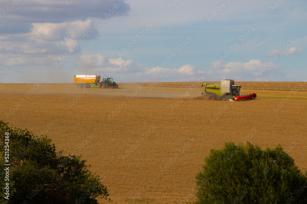 Obraz premium l'agriculture