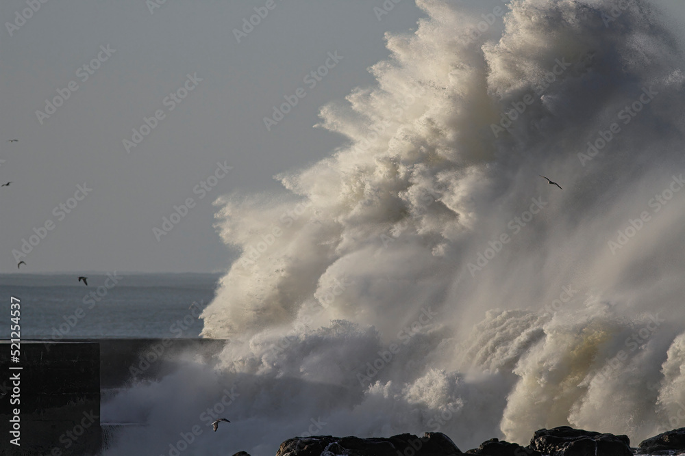 Fototapeta premium Big stormy wave splash