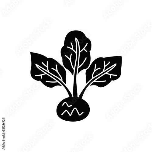 Kohlrabi vegetable icon in black flat glyph, filled style isolated on white background