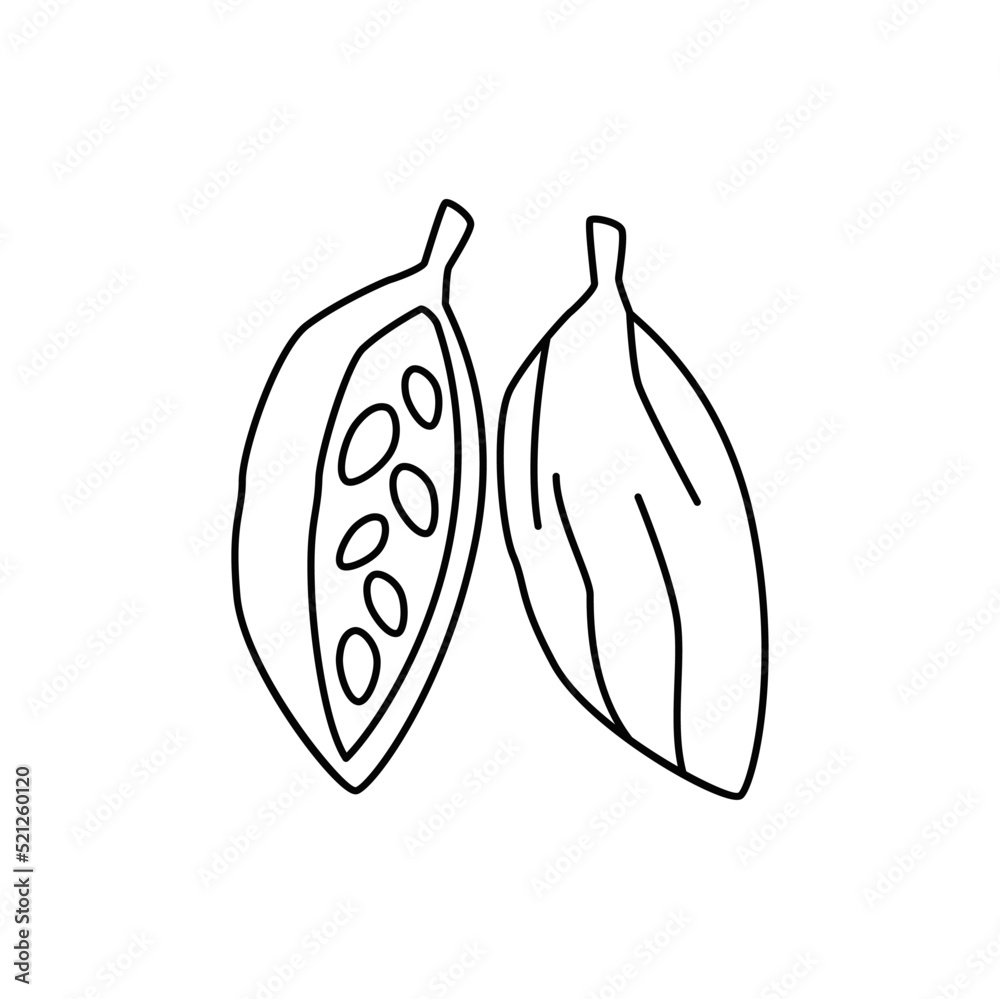 Cardamom icon in line style icon, isolated on white background