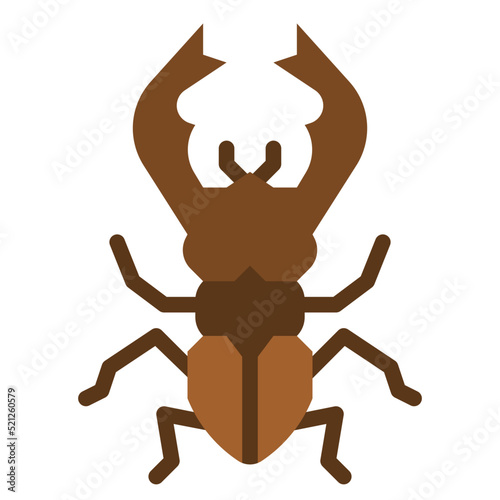 insect