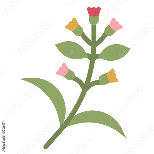plant