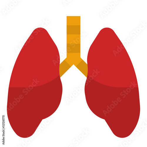 lung
