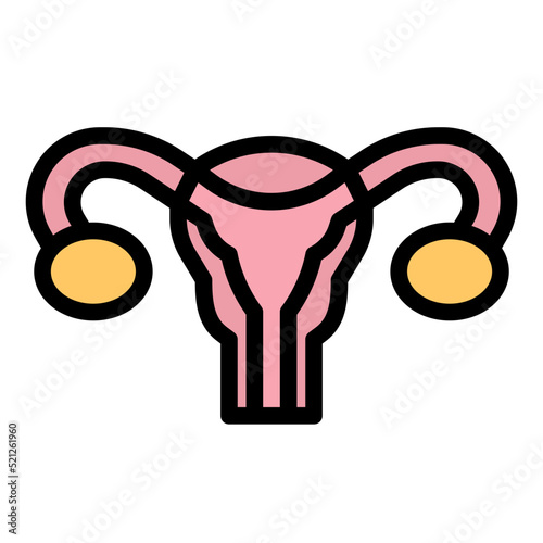 uterus