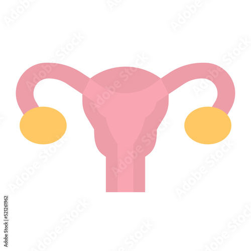 uterus