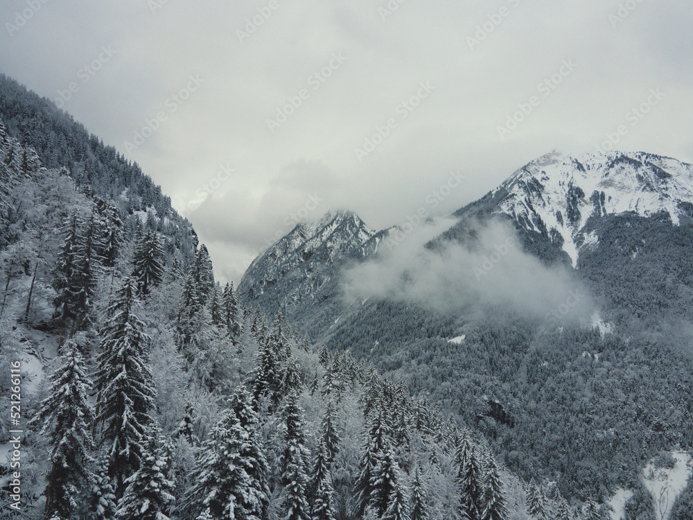 Snowy mountains in clouds with winter forest, white peaks in the fog of Alps, trees on a steep cliff aerial drone panorama in Courchevel, Meribel in French Alps.