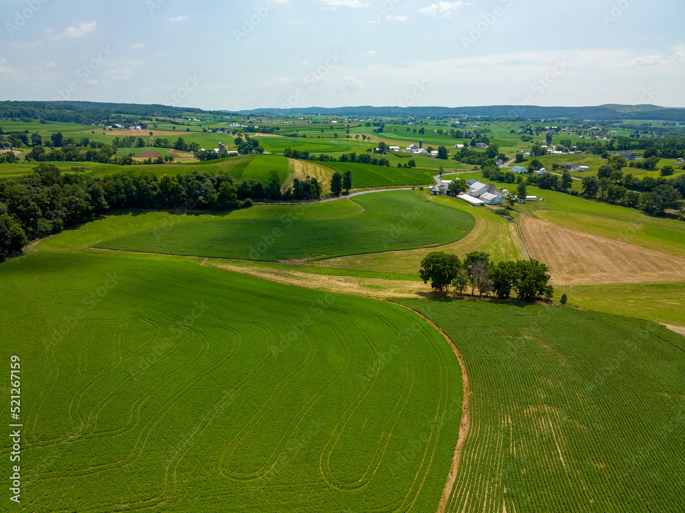 Green Farmland Aerial