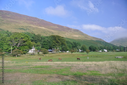 Isle of Arran, Scotland, United Kingdom