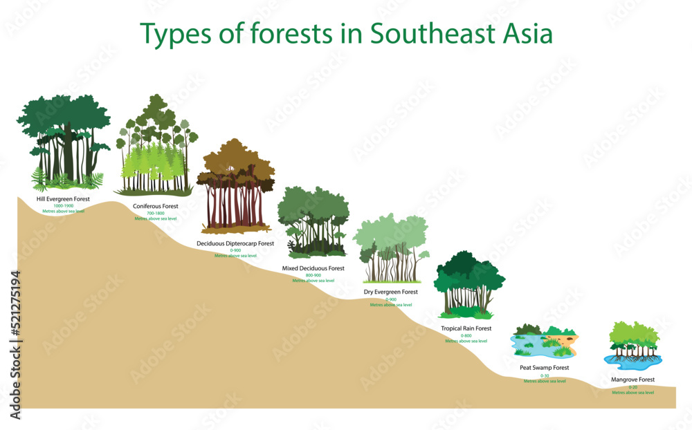 Forest Types In World Upsc Infoupdate