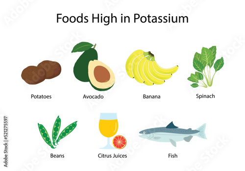 illustration of biology and food, Foods high in Potassium, Potassium is an essential mineral that is needed by all tissues in the body, Potassium Rich Foods