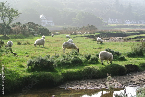 Photo Isle of Arran, Scotland, United Kingdom