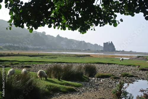 Isle of Arran, Scotland, United Kingdom