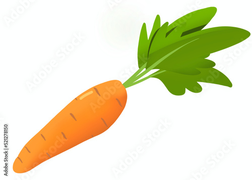 Dessin d'une carotte, fond isolé photo