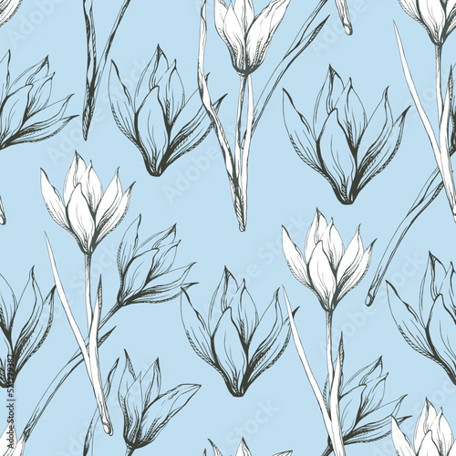 Vintage blue background with outline flowers, seamless pattern with hand drawn ink tulips
