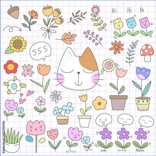 set of flowers and cat