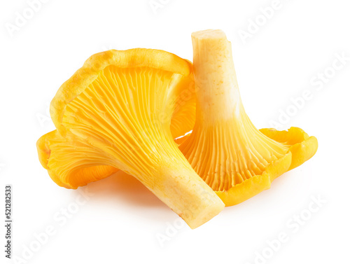 two chanterelle mushroom isolated on white. the entire image in sharpness.