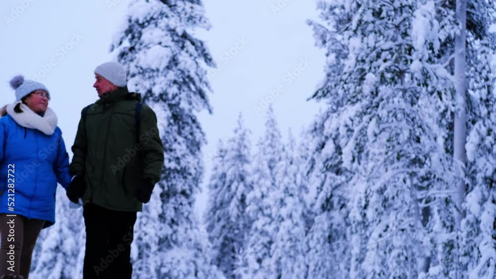 couple elderly man and woman walk together through the winter forest, beautiful nature of Lapland, snow-covered trees, weather beyond the Arctic Circle, snowdrifts, active lifestyle, heavy snowfall couple elderly man and woman walk together through the winter forest, beautiful nature of Lapland, snow-covered trees, weather beyond the Arctic Circle, snowdrifts, active lifestyle, heavy snowfall