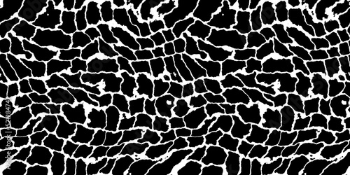Photography Seamless giraffe fur or snake skin pattern