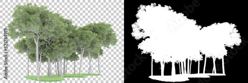 Forest isolated on background with mask. 3d rendering - illustration photo