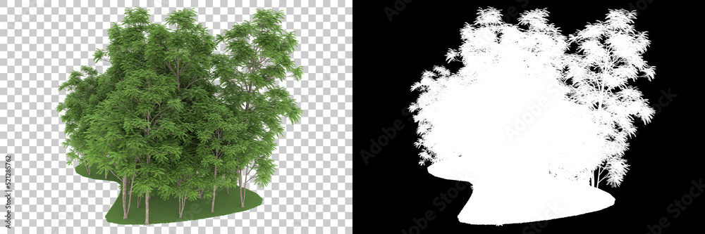 Forest isolated on background with mask. 3d rendering - illustration Forest isolated on background with mask. 3d rendering - illustration