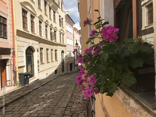 Canvas Print street in the town