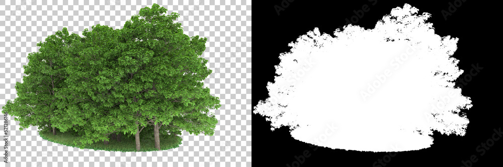 Fototapeta premium Forest isolated on background with mask. 3d rendering - illustration